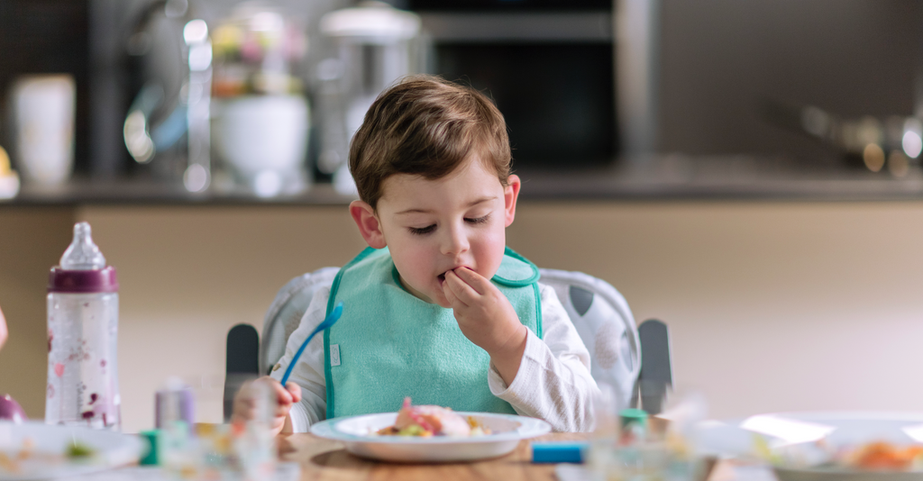 6 Benefits of using a Baby Food Steamer Blender for Weaning